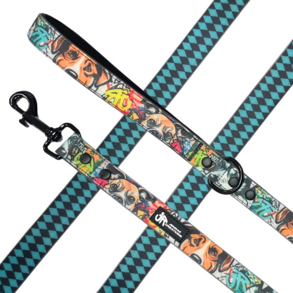 Waterproof Leash & Collar set - Ruff Streets Collection